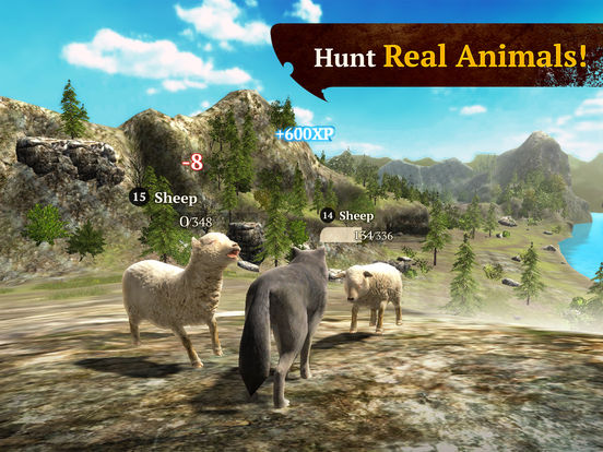 The Wolf: Online RPG Simulator