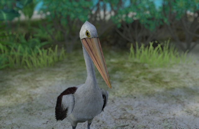 Endless Ocean: Blue World