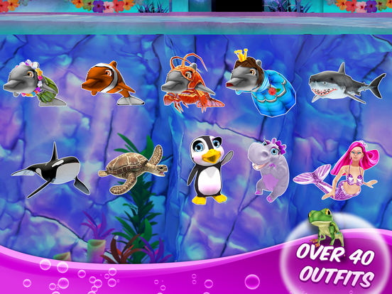 My Dolphin Show