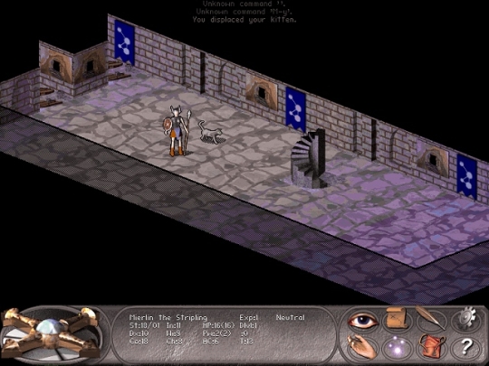 Nethack: Falcon’s Eye