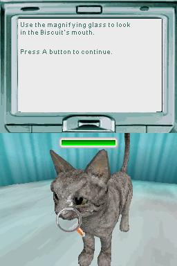 Pet Pals: New Leash on Life
