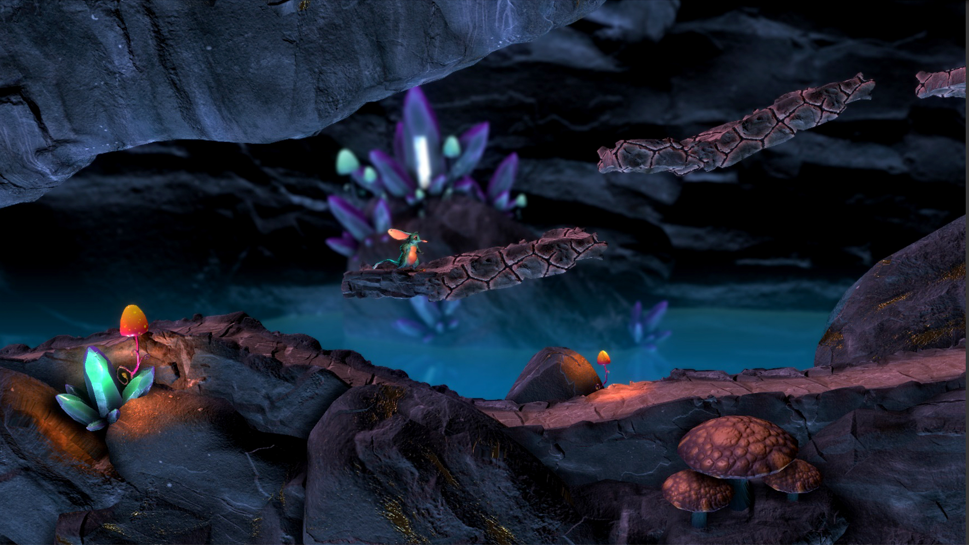 Macrotis: A Mother’s Journey