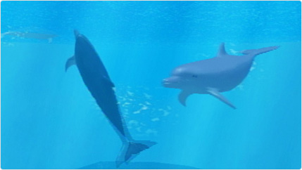 My Dolphin