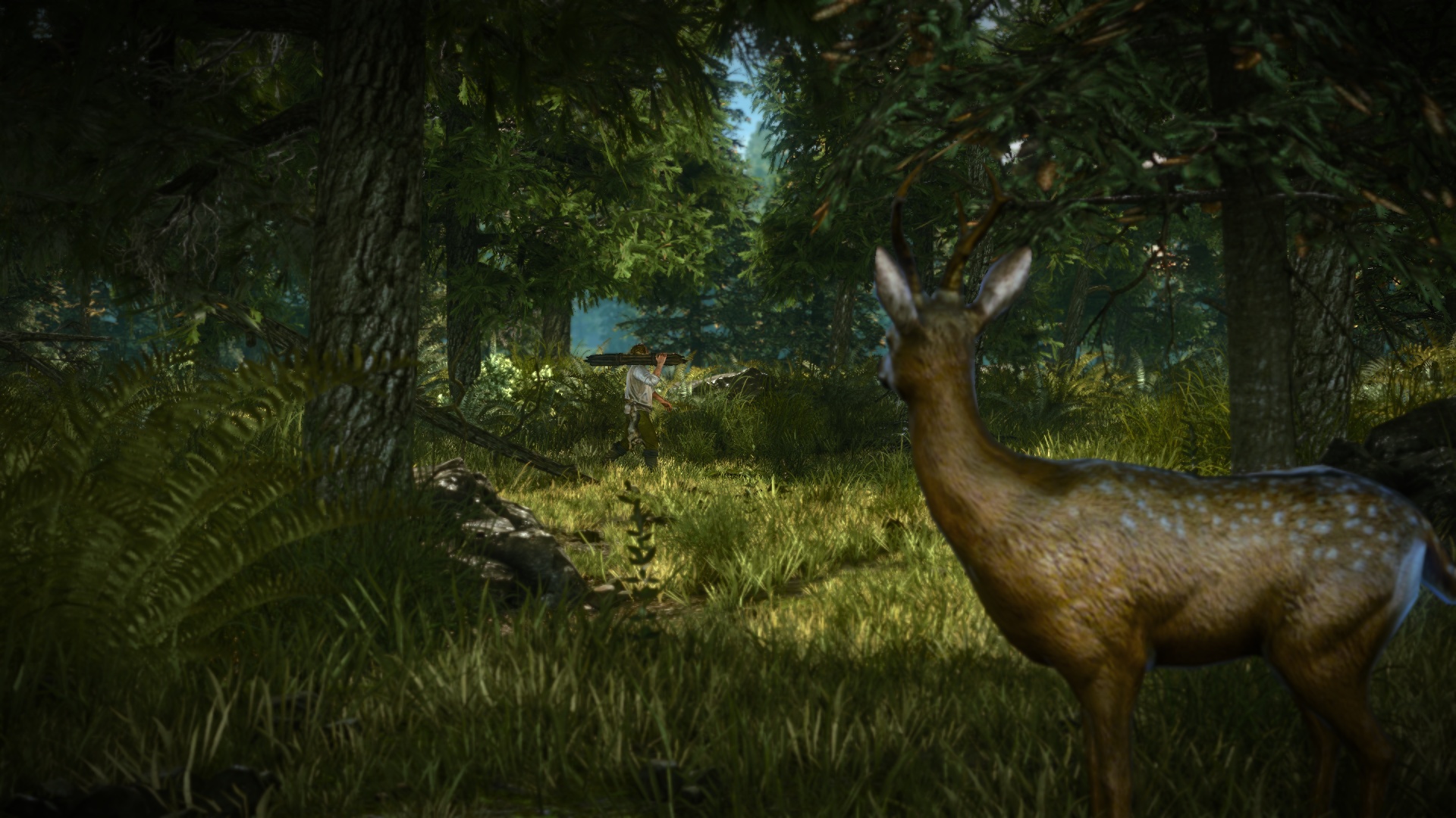 The Witcher 2: Assassins of Kings – Enhanced Edition
