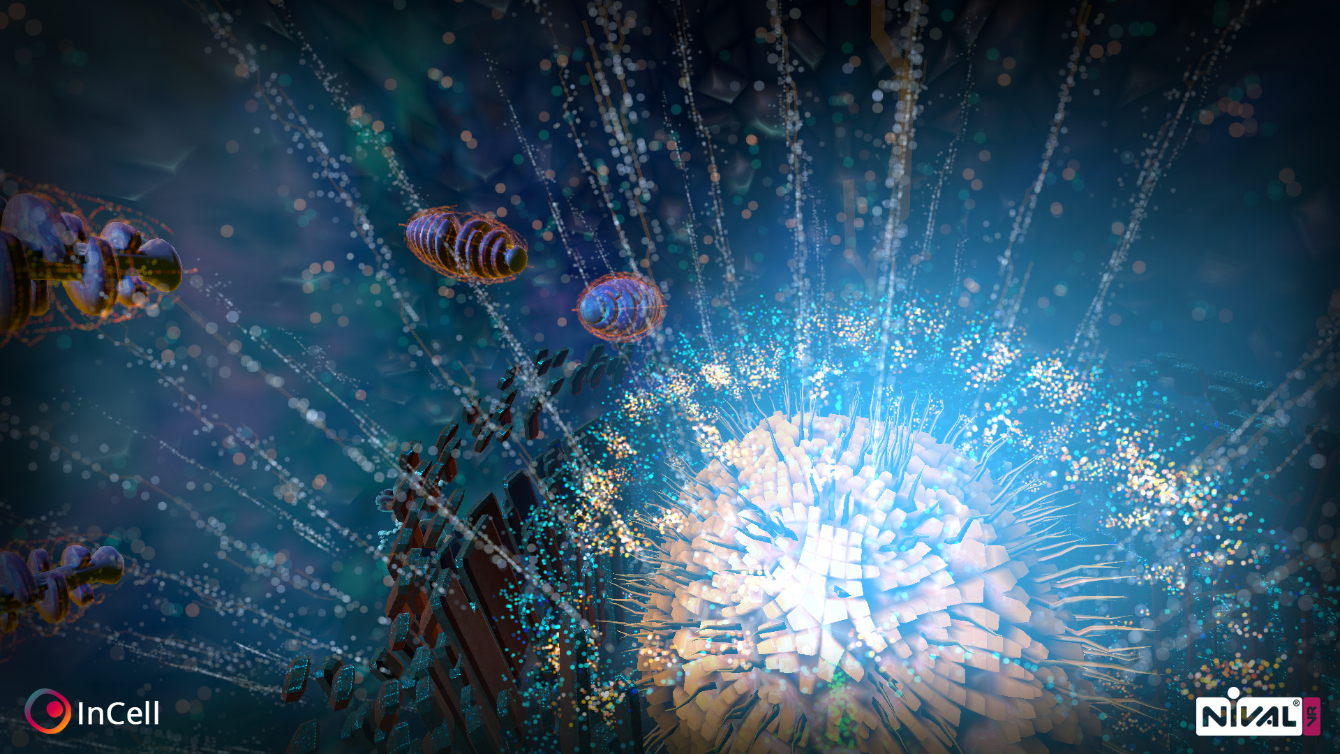InCell VR
