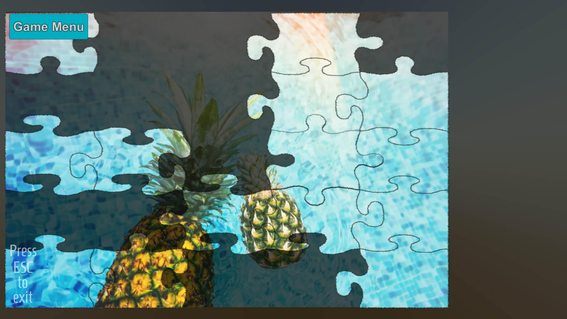 Summer: Jigsaw Puzzles