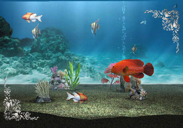 My Aquarium