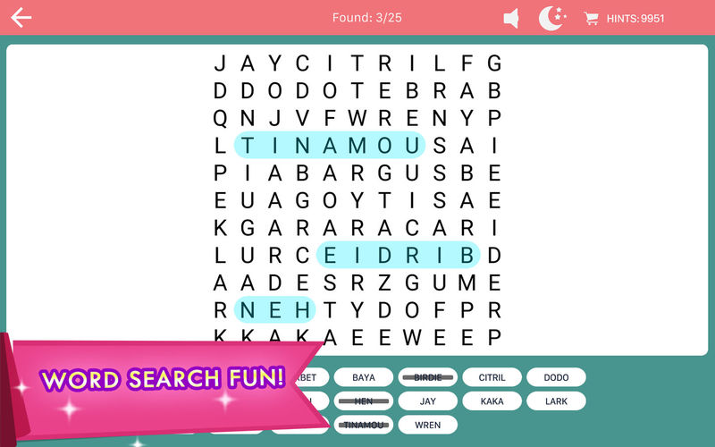 Word Search Fun