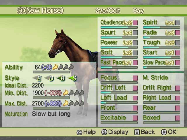 G1 Jockey Wii 2008