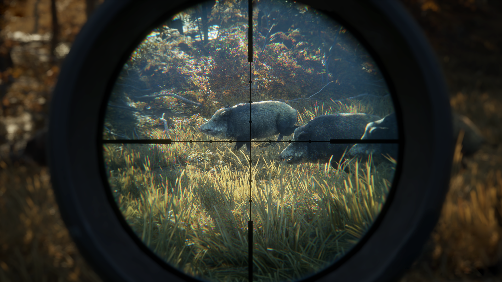 TheHunter: Call of the Wild