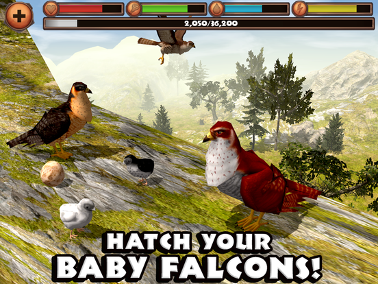 Falcon Simulator