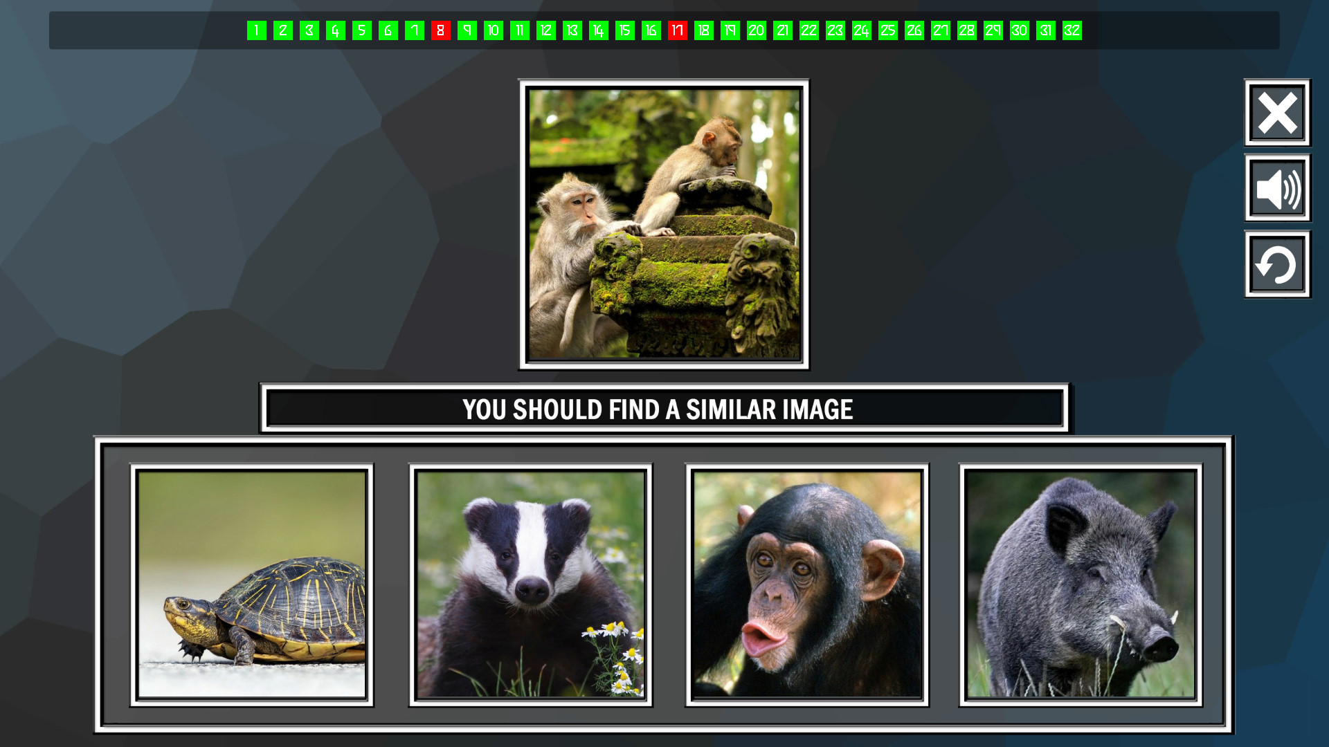 Repeat the image: Animals