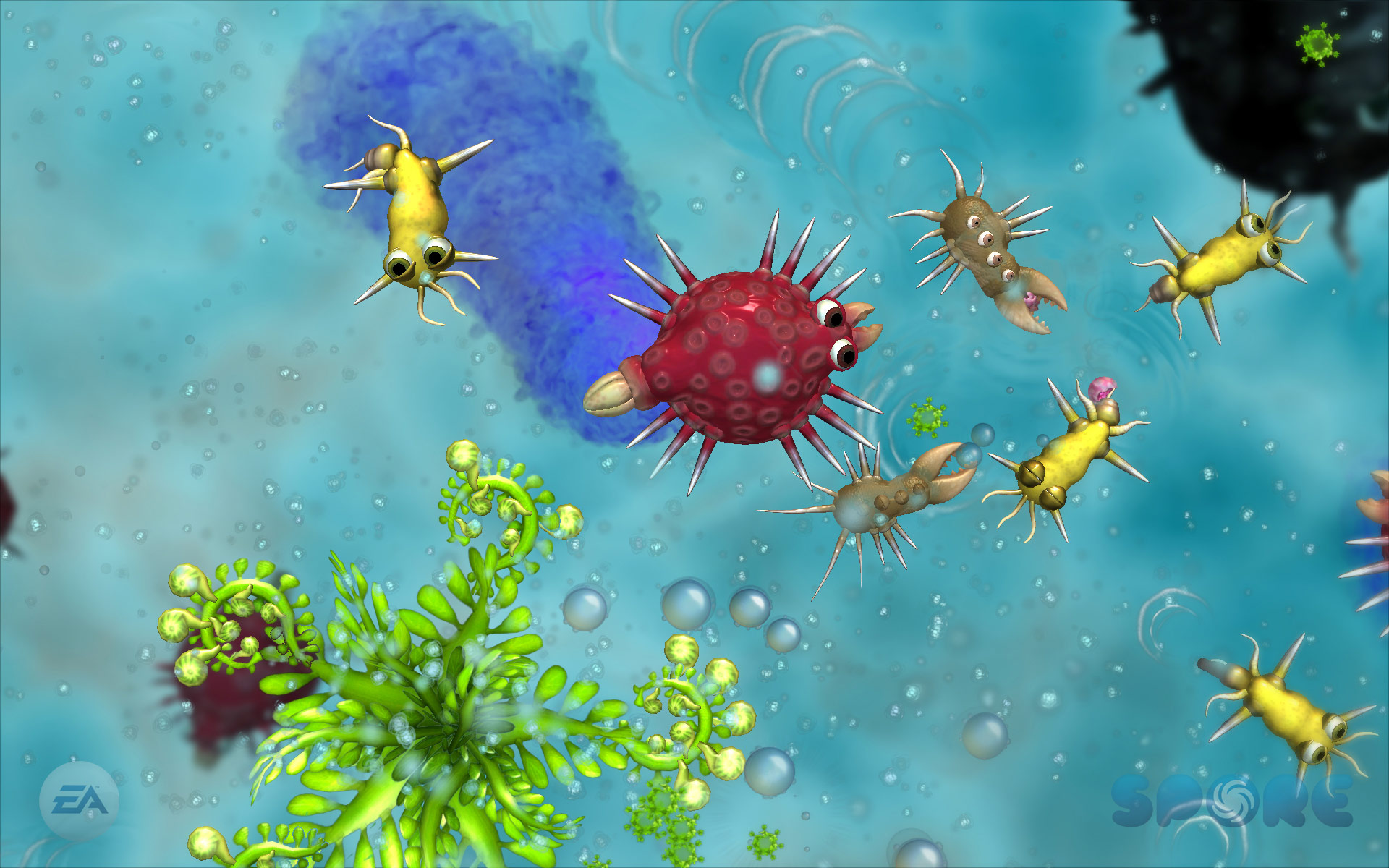 Spore