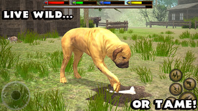 Ultimate Dog Simulator