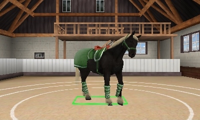 Best Friends: My Horse 3D