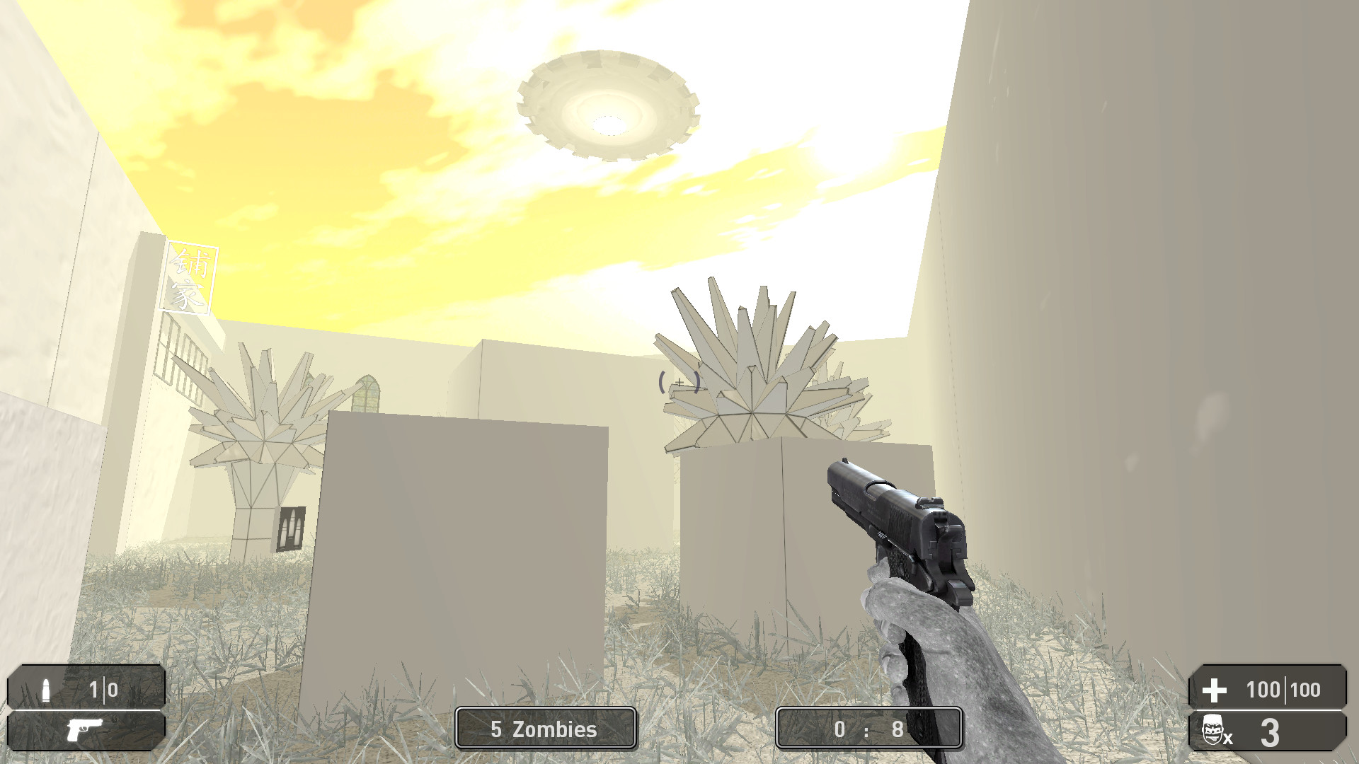 Project of the Developer