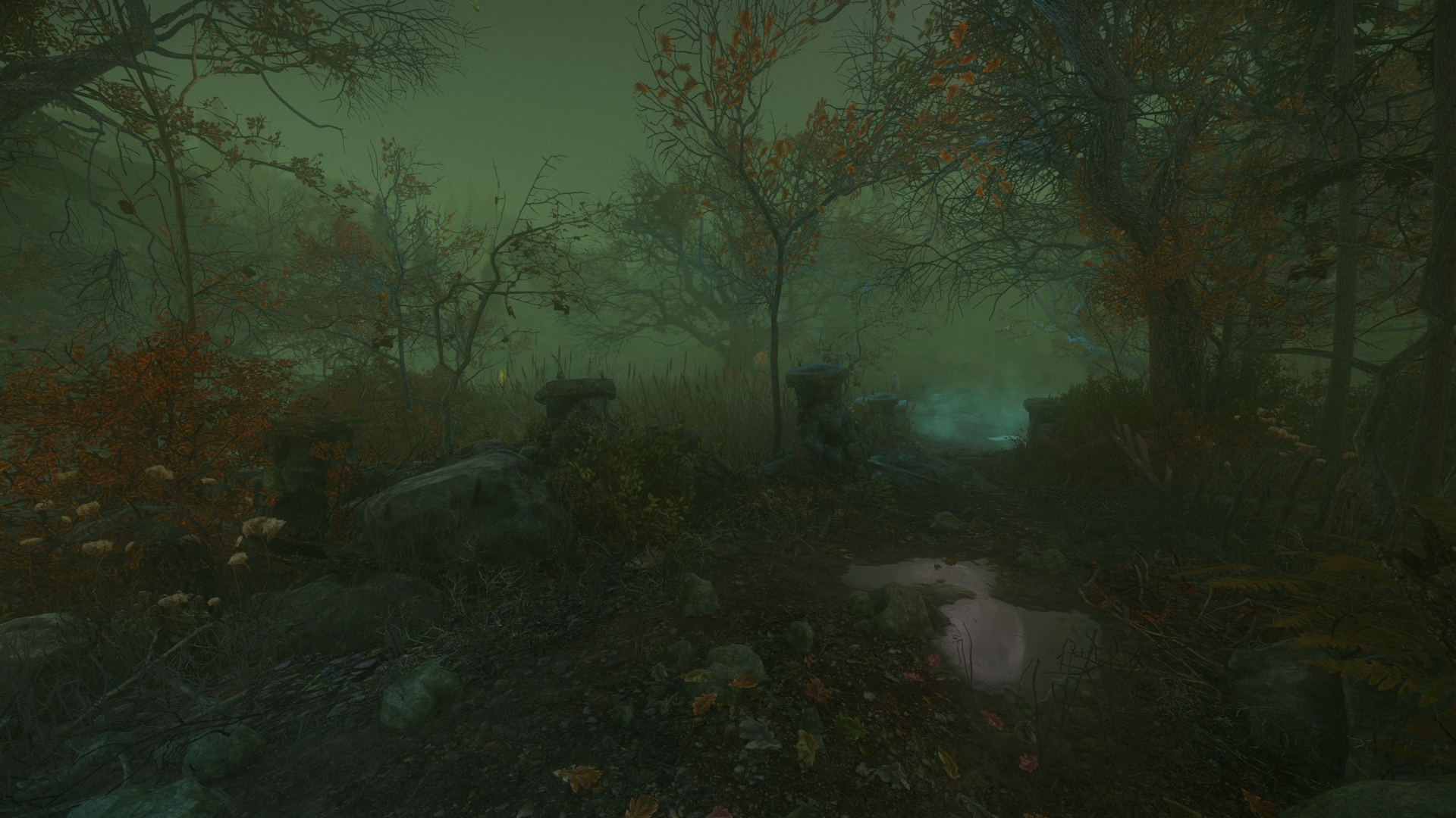 The Cursed Forest