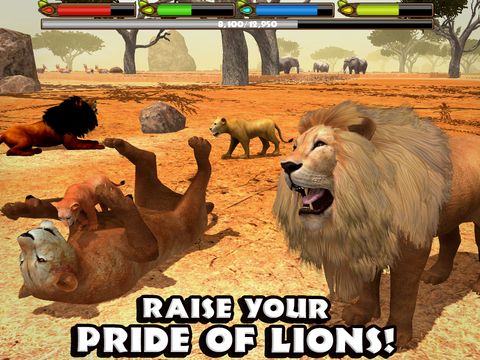 Ultimate Lion Simulator