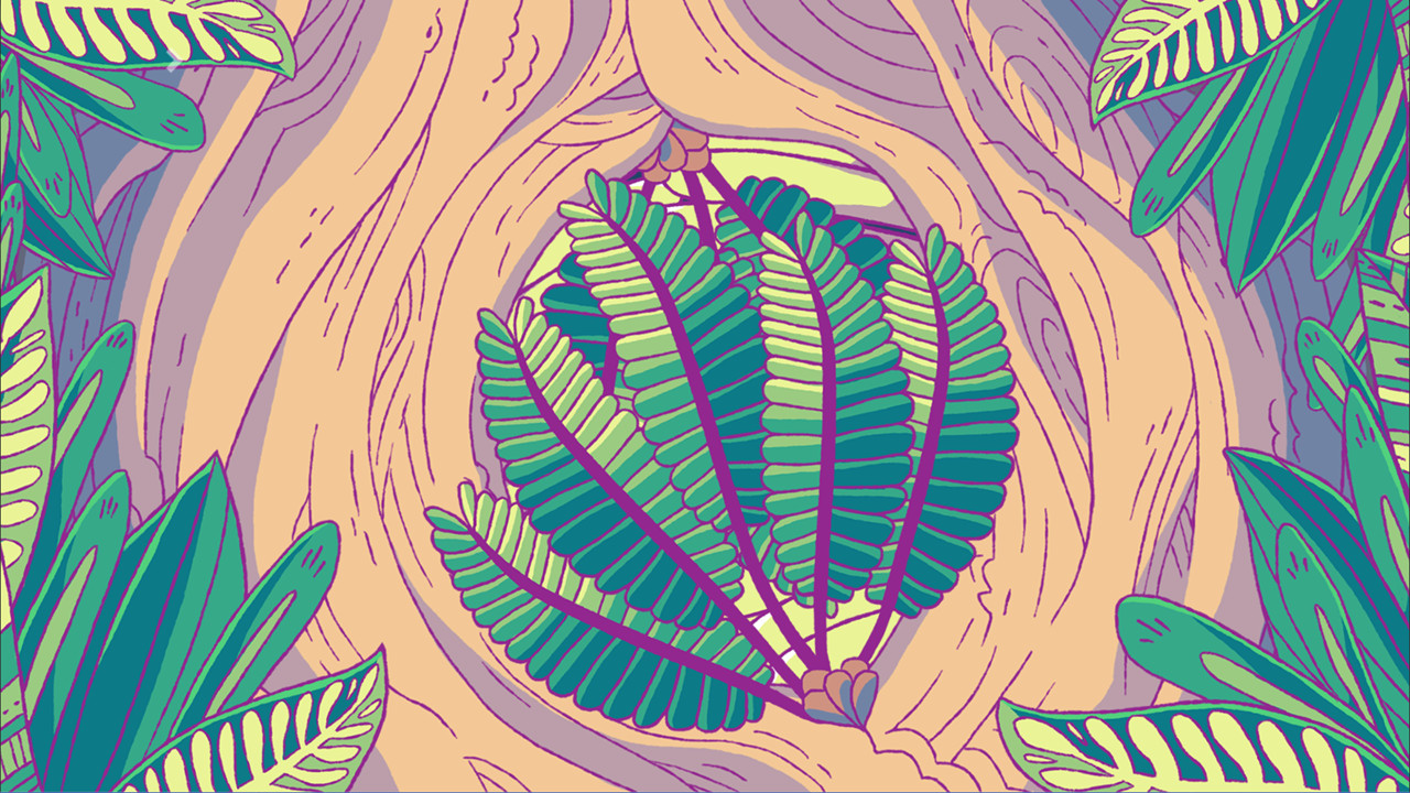 She and the Light Bearer