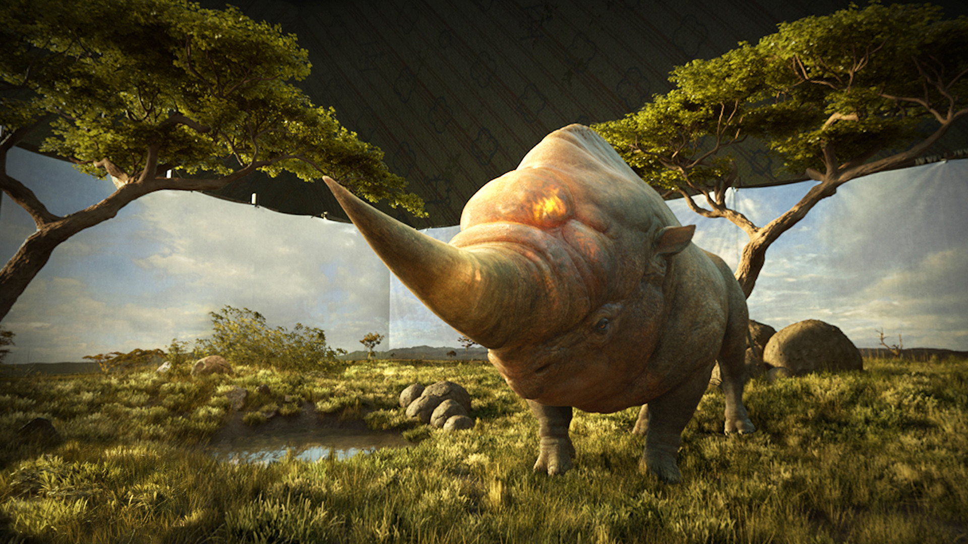 Fantastic Beasts and Where to Find Them