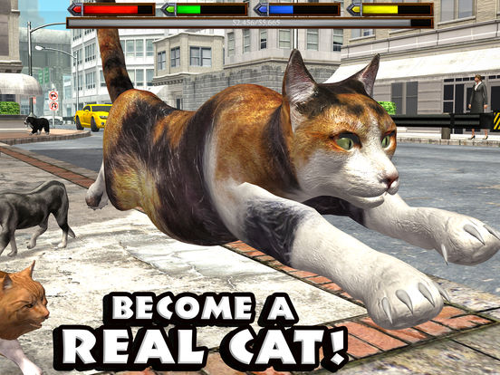 Ultimate Cat Simulator
