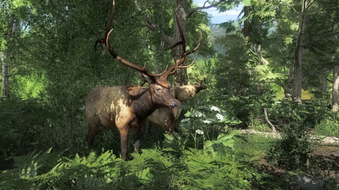 TheHunter Classic