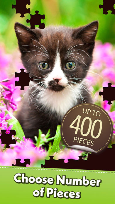 Jigsaw Puzzle Pro