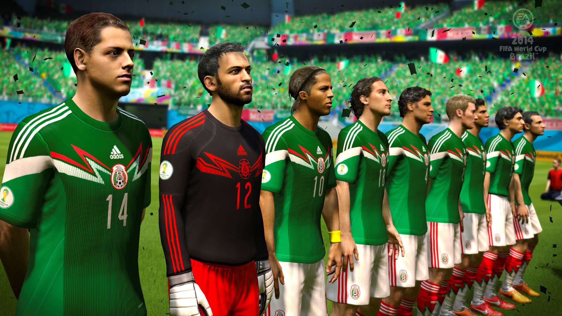2014 FIFA World Cup Brazil