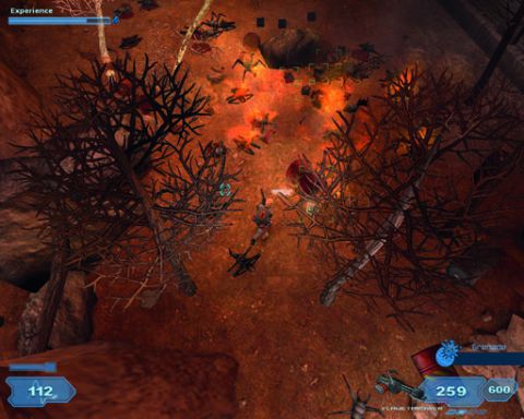 Shadowgrounds Survivor