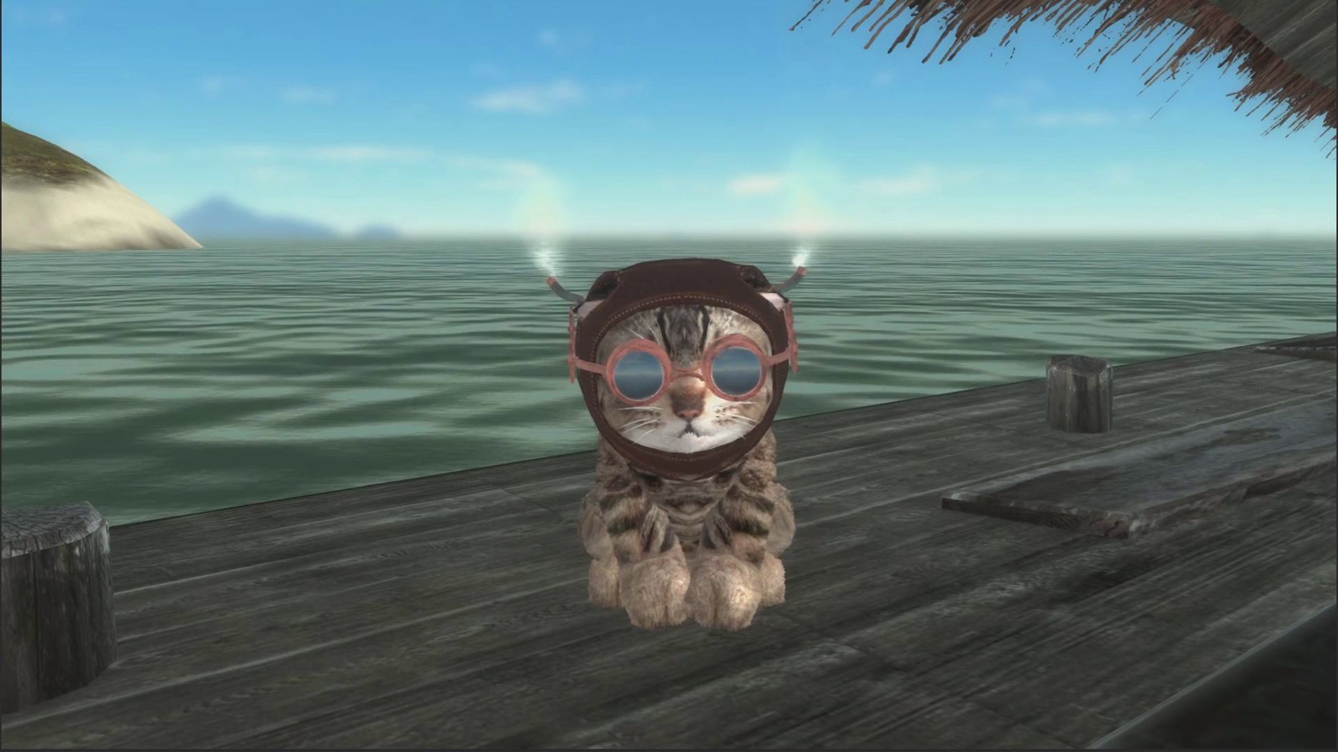 Kitten Super Adventure