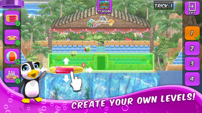 My Dolphin Show
