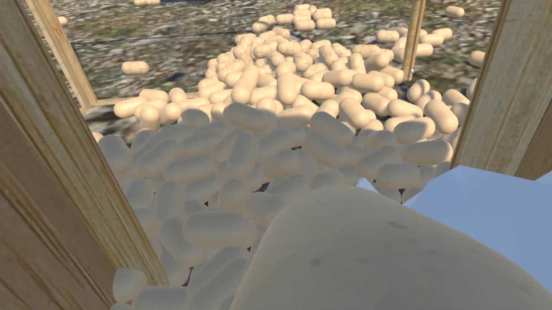 Chicken VR