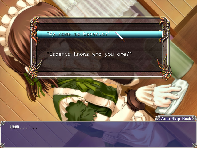 Aselia the Eternal: The Spirit of Eternity Sword