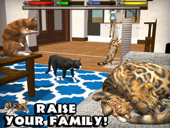 Ultimate Cat Simulator
