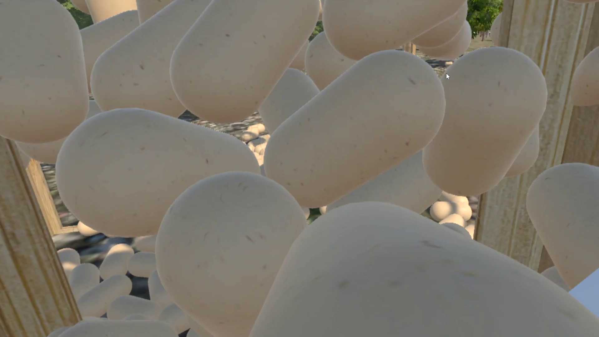Chicken VR