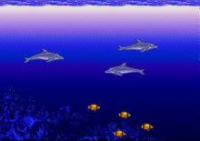 Ecco the Dolphin