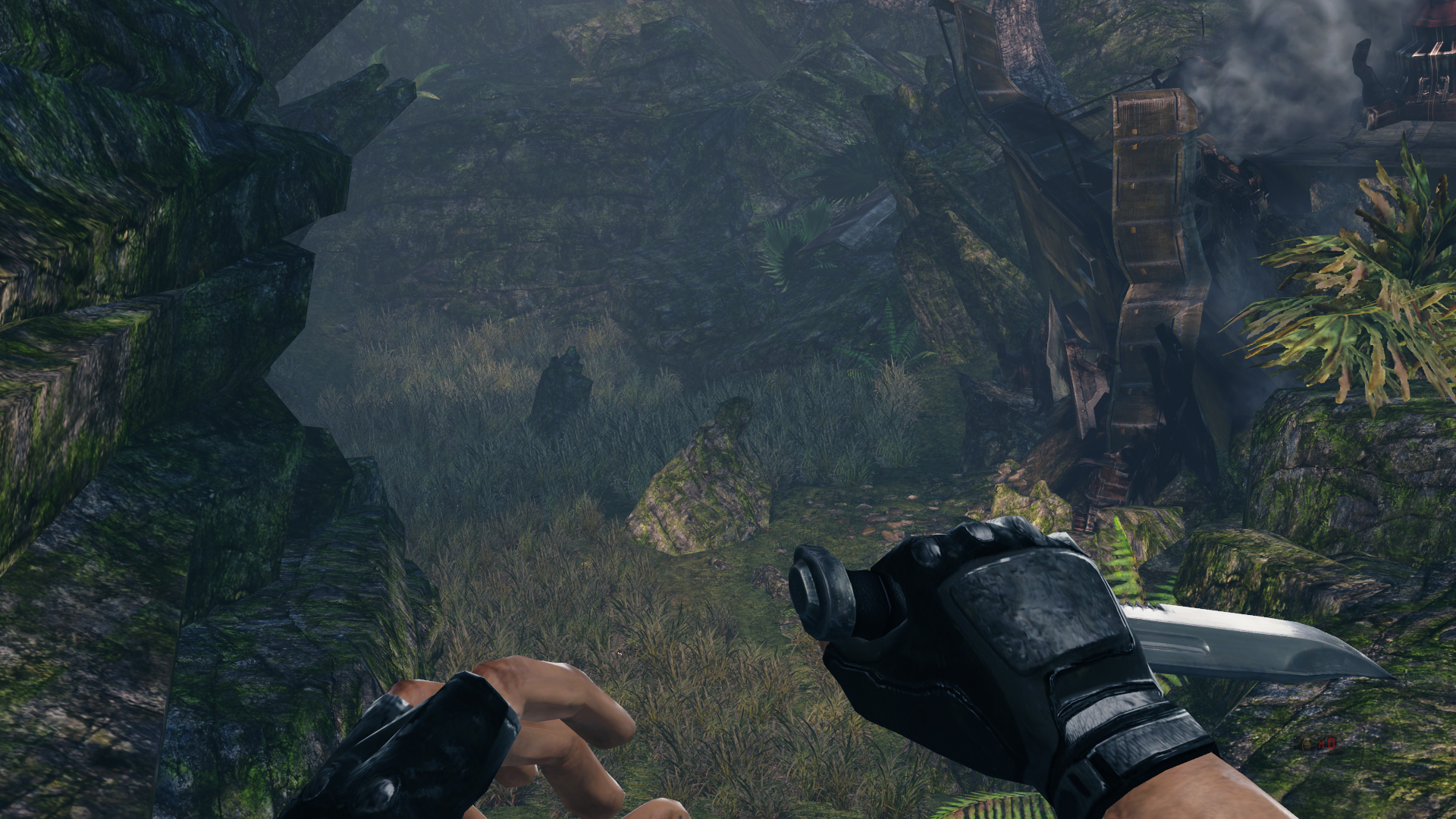 Turok