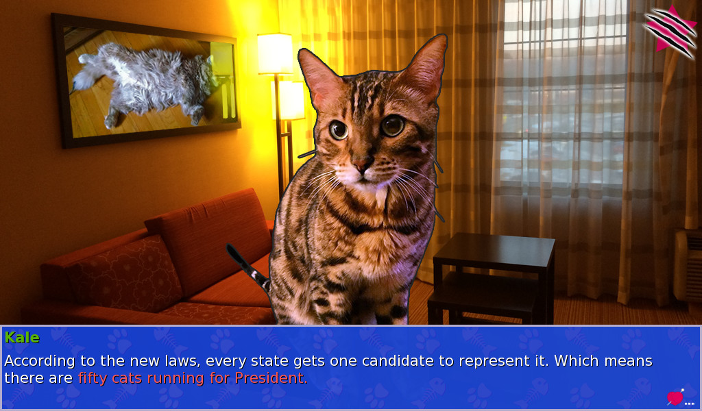 Cat President: A More Purrfect Union