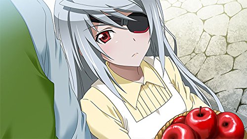 Infinite Stratos 2: Love and Purge