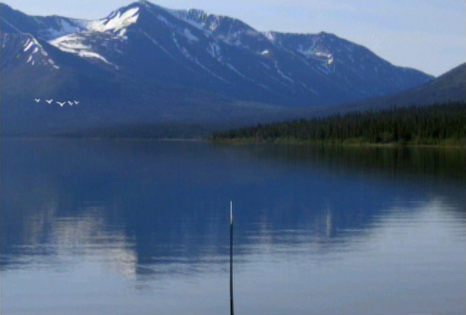 Reel Fishing: Angler’s Dream