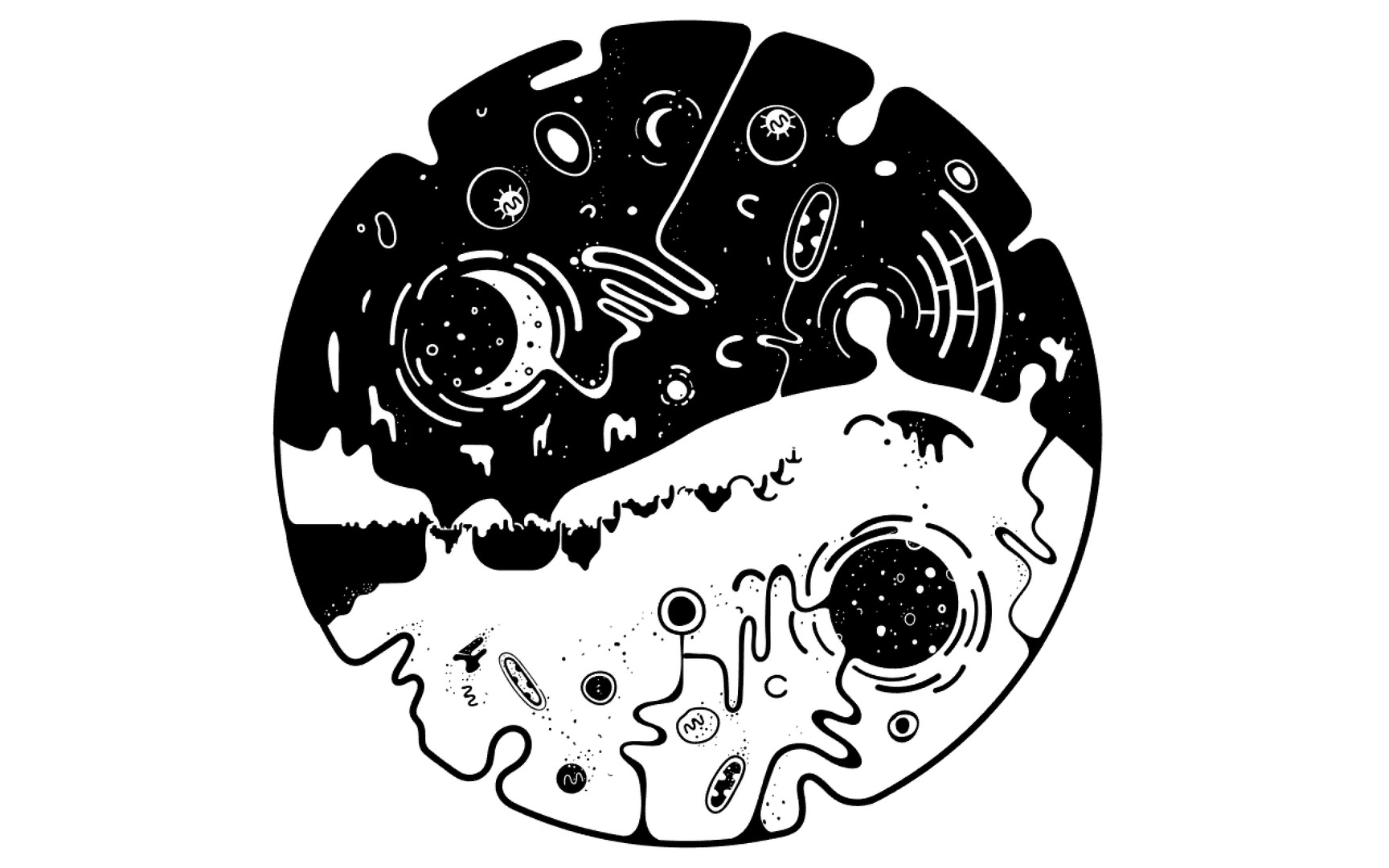 Ovivo