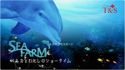 My Dolphin