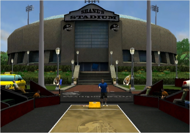 Target Toss Pro: Bags