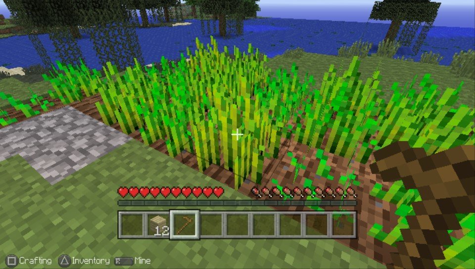 Minecraft: Playstation Vita Edition