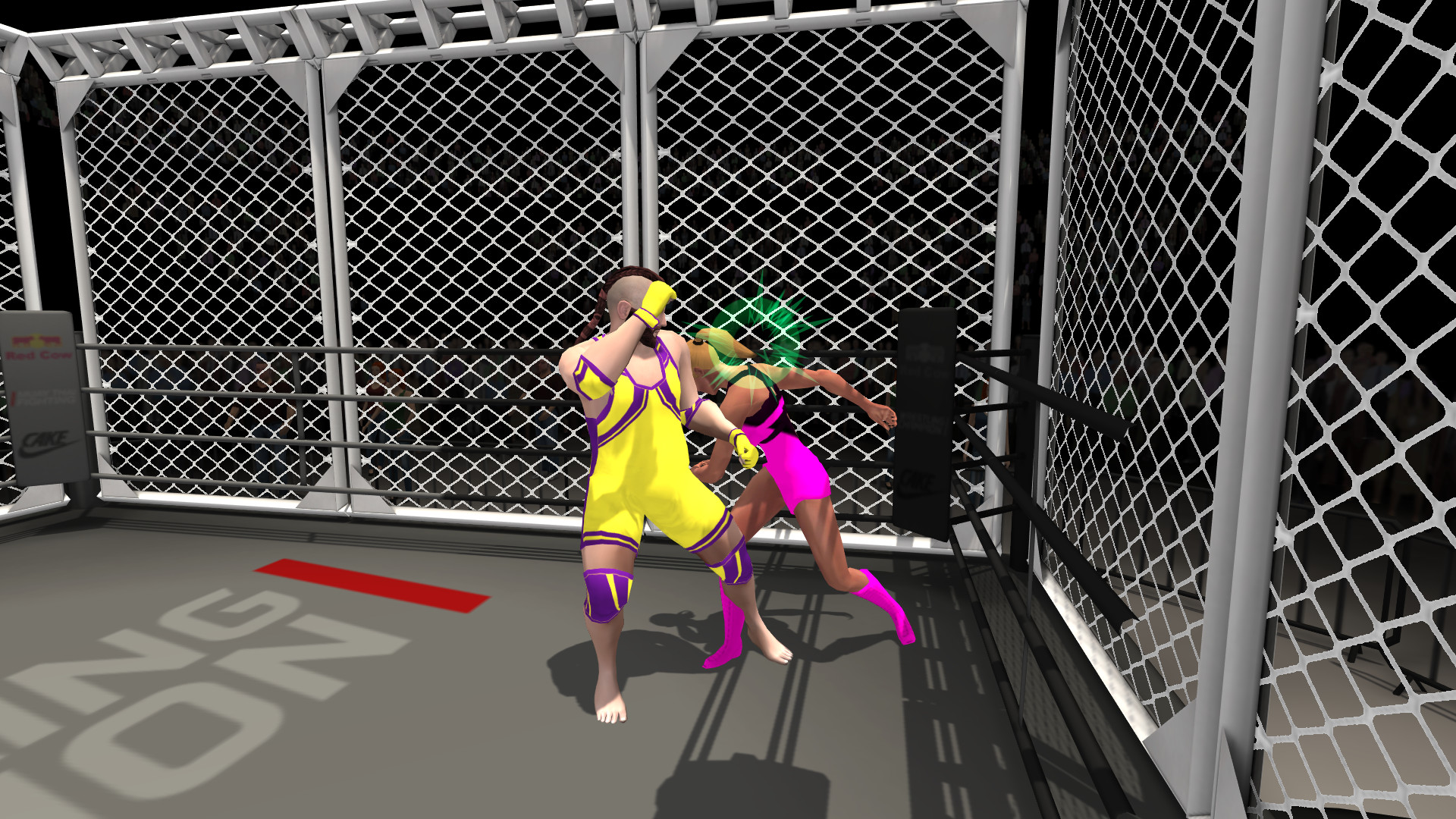 Wrestlers Without Boundaries