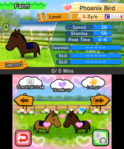 Pocket Card Jockey
