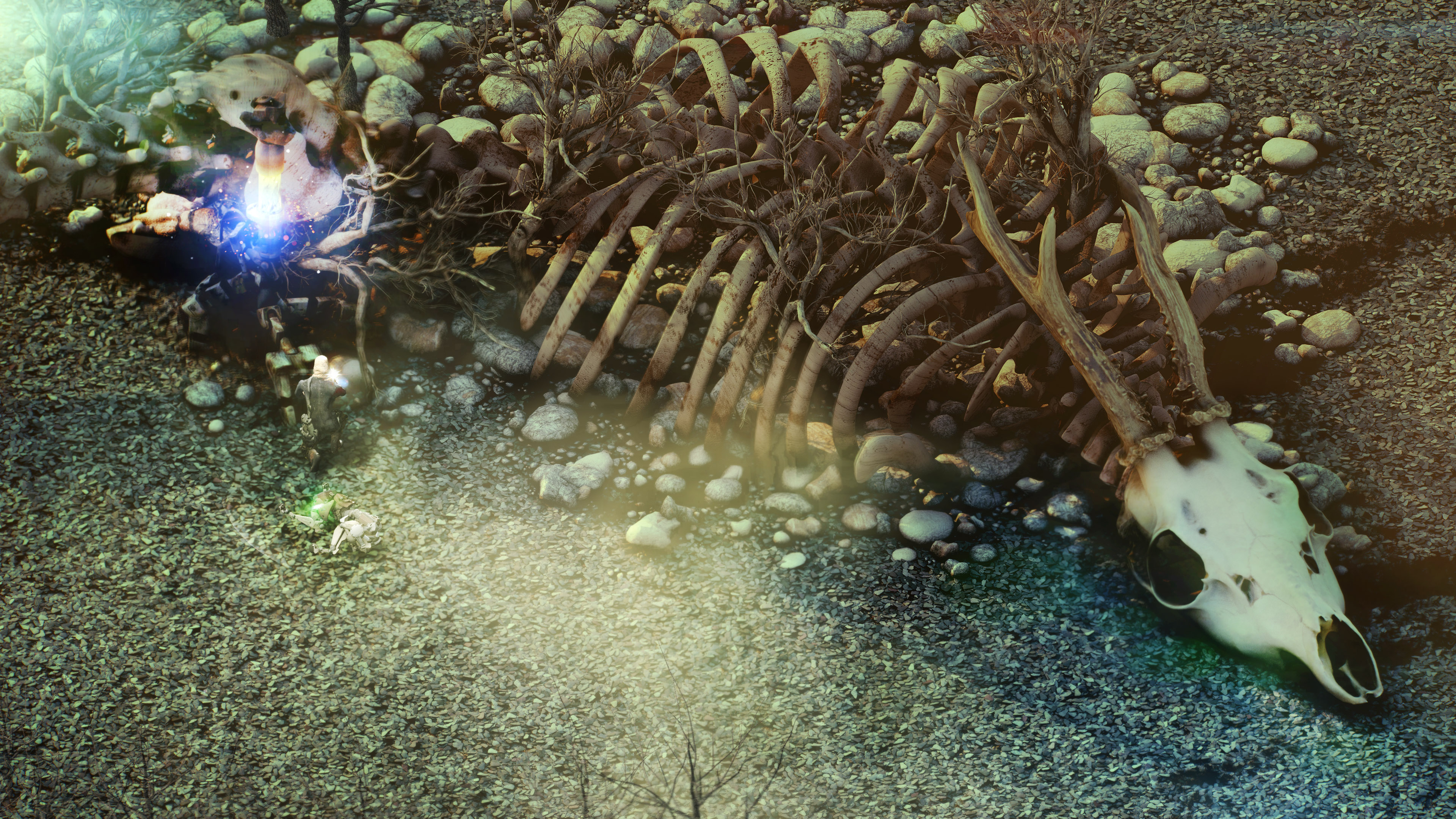 Beautiful Desolation