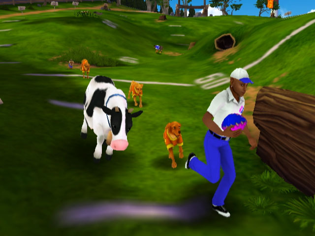 Jerry Rice &amp; Nitus’ Dog Football