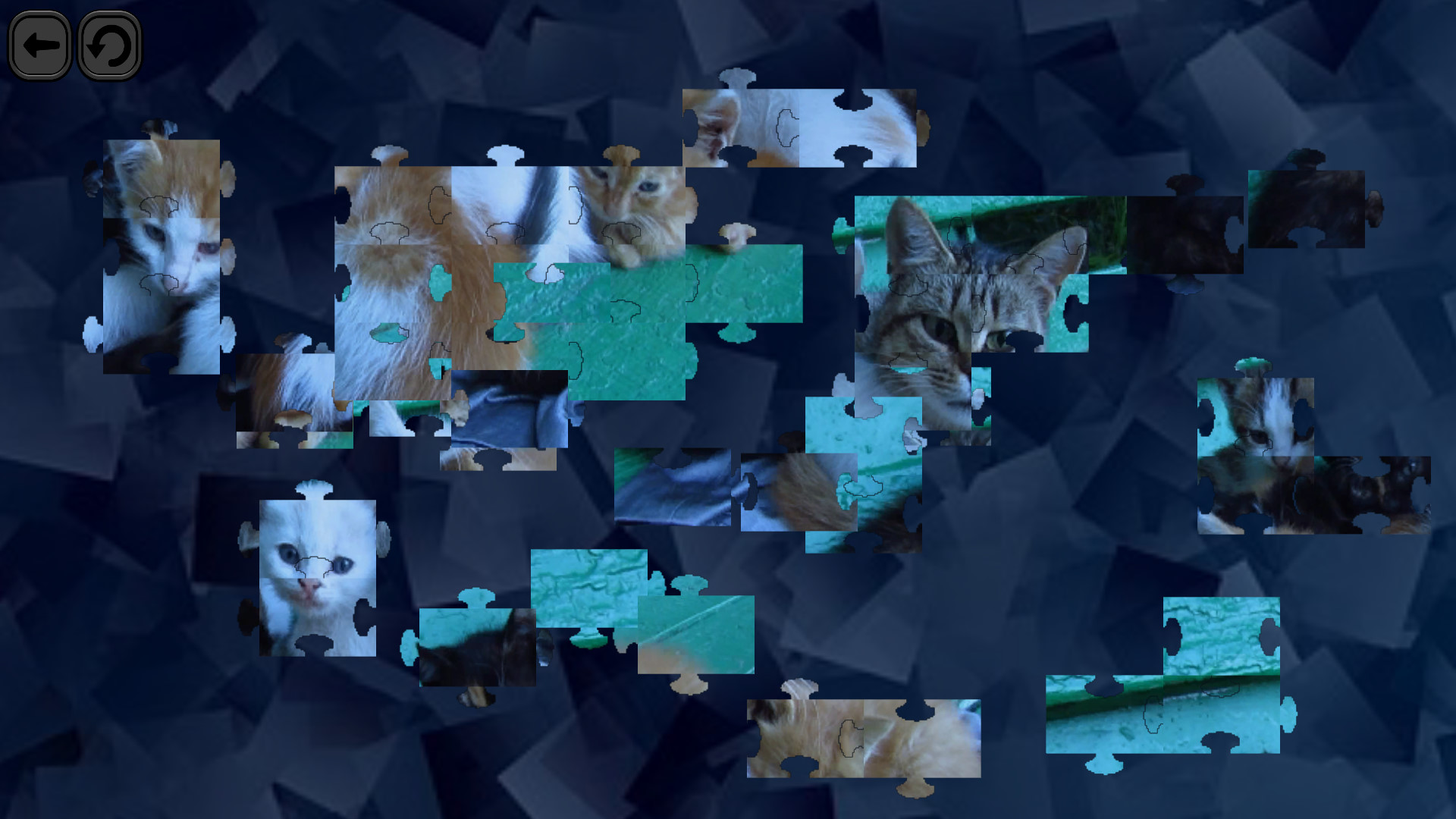 Puzzles for smart: Cats