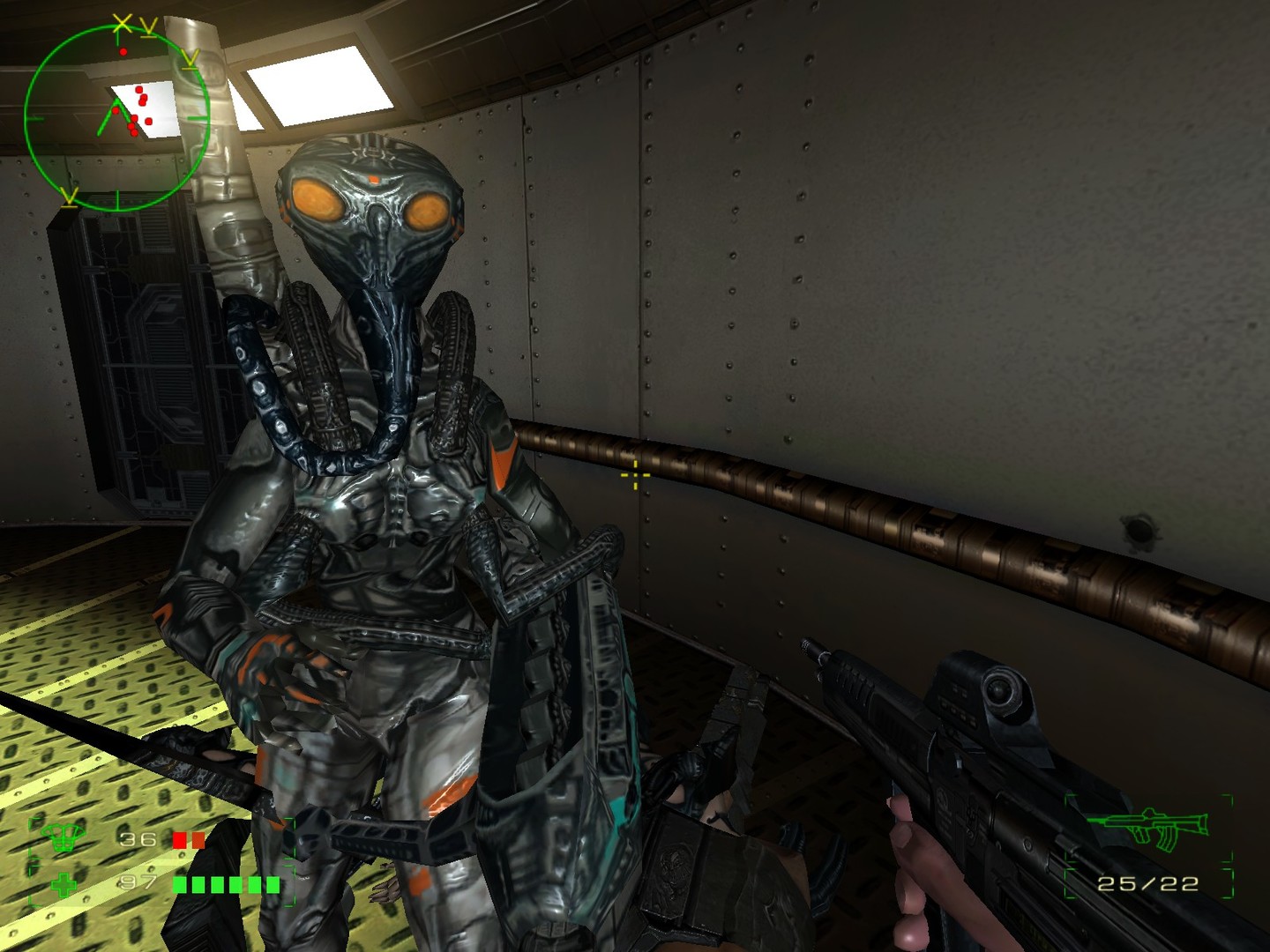 Operation: Matriarchy